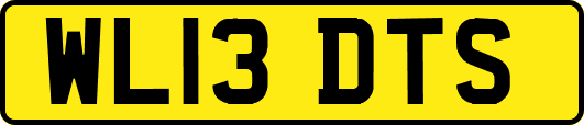 WL13DTS