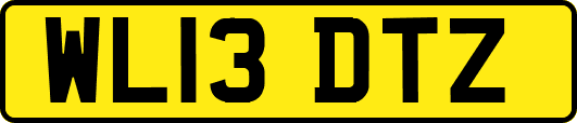 WL13DTZ
