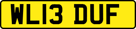 WL13DUF