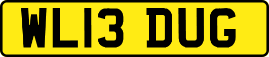 WL13DUG