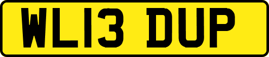 WL13DUP