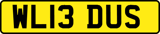 WL13DUS