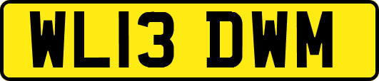 WL13DWM