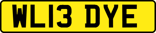 WL13DYE
