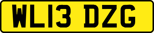 WL13DZG