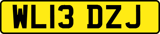WL13DZJ