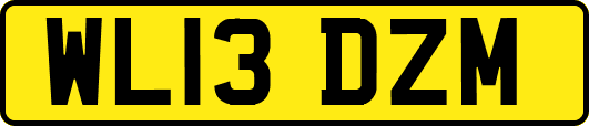 WL13DZM