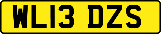 WL13DZS