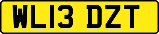 WL13DZT