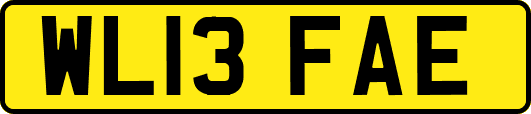 WL13FAE
