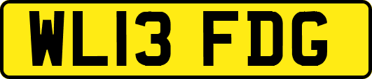 WL13FDG