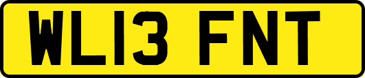 WL13FNT