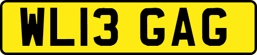 WL13GAG