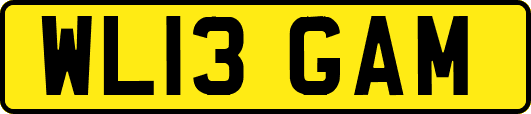 WL13GAM