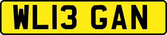 WL13GAN