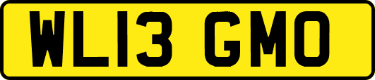 WL13GMO