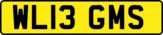 WL13GMS
