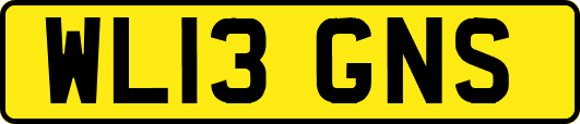 WL13GNS
