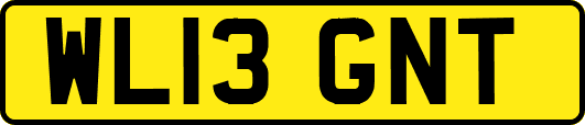WL13GNT