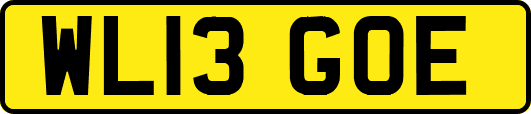 WL13GOE