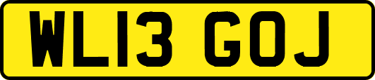WL13GOJ