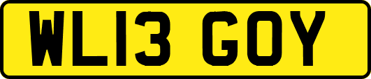 WL13GOY