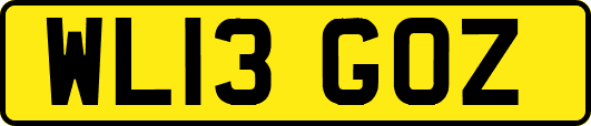 WL13GOZ