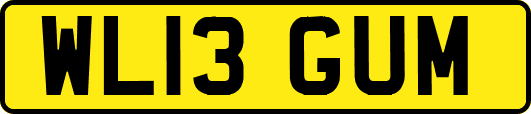 WL13GUM