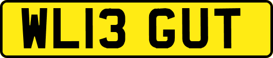 WL13GUT