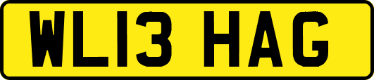 WL13HAG