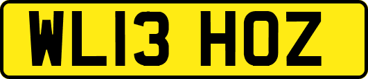 WL13HOZ