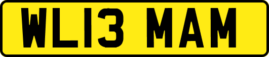 WL13MAM