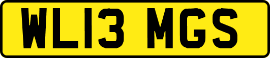 WL13MGS