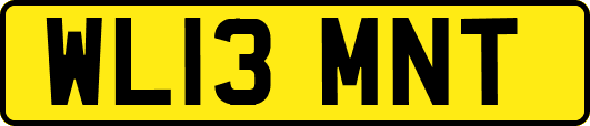 WL13MNT