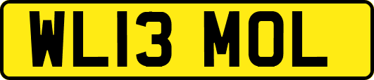 WL13MOL