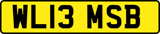 WL13MSB