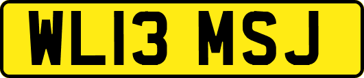 WL13MSJ