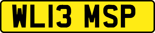 WL13MSP