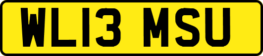 WL13MSU