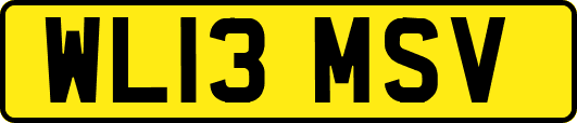 WL13MSV