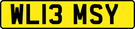 WL13MSY