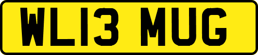 WL13MUG