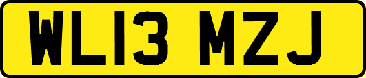 WL13MZJ