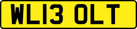 WL13OLT