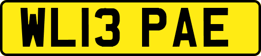WL13PAE