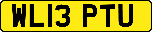 WL13PTU