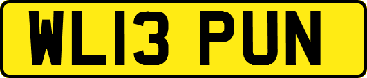 WL13PUN