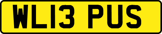 WL13PUS
