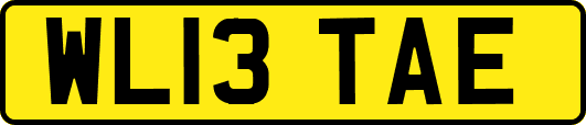 WL13TAE