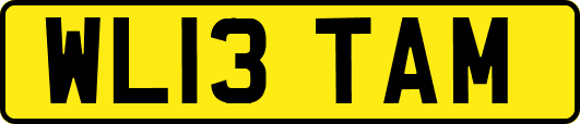 WL13TAM